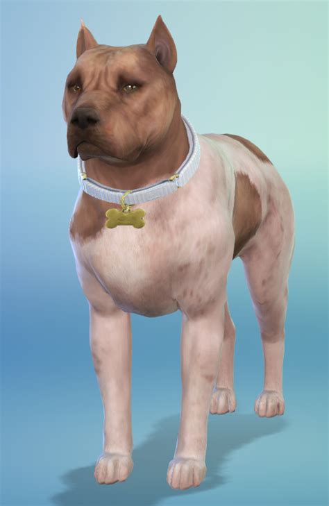 Pet Breeding And The Inheritance Of Coat Patterns And Colors — The Sims