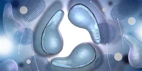 Mycoplasma Genitalium Considerations For Testing And Treatment In