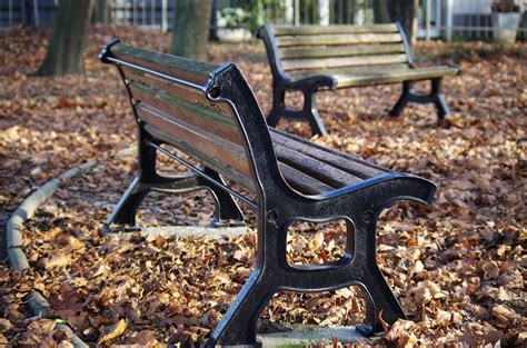 Park, Bench, Park, Autumn #park, #bench, #park, #autumn | Vacation trips, Park, Travel sites