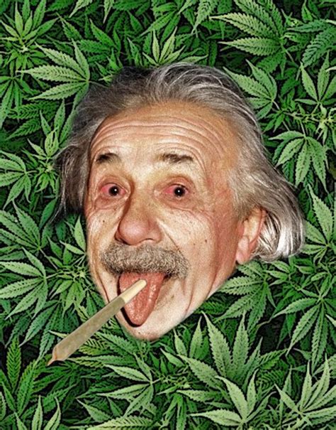 Einstein Goin High