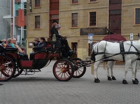 Heritage Horse Drawn Carriages Attraction Tour Hobart Tasmania
