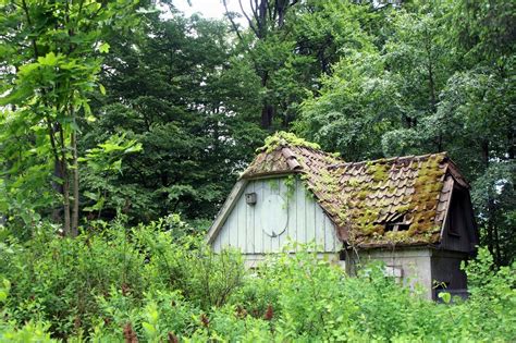 Wenn sie ihr haus verkaufen möchten oder jemanden kennen der seins. Kleines Haus am Wald wird renaturiert Foto & Bild ...