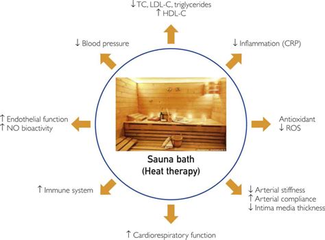 3 beneficios de la sauna【guía según la evidencia】