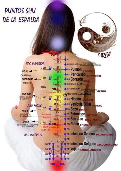 Pin By Vian Lapusan On Chakras Shiatsu Massage Acupressure Treatment