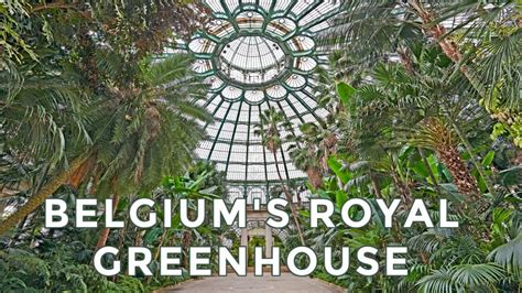 Inside Belgiums Royal Greenhouses Of Laeken Brussels Youtube