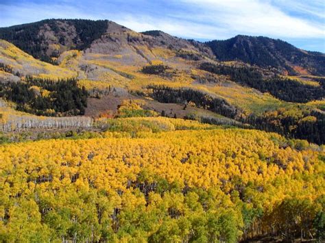 Fishlake National Forest Is Located In South Central Utah The Namesake