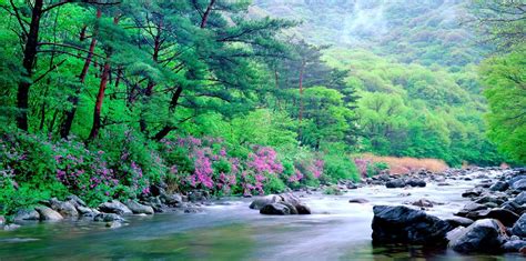 강원도 오대산 계곡 Beautiful Places Korean Wave Geography South Korea