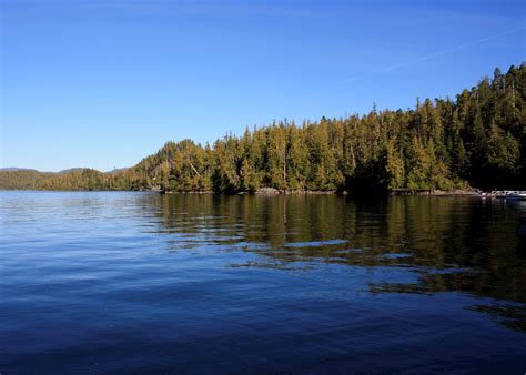 Visit Princess Royal Island In Canada Audley Travel