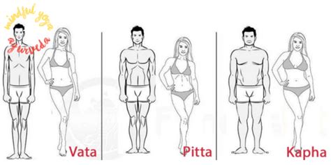 Your Body Type And Ayurveda Doshas Vata Kapha And Pitta Elephant