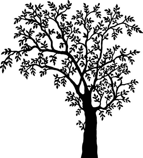 How To Draw A Tree Free Printable Tree Stencils 16 Pics How To Draw