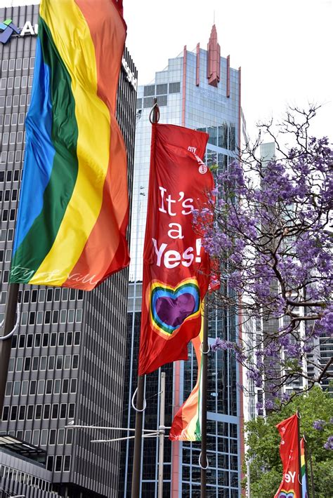 Majority Of Australians Vote Yes To Same Sex Marriage Syd Flickr
