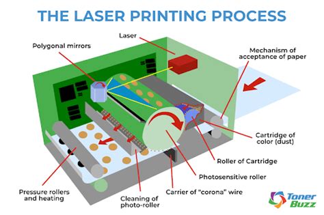 How Do Laser Printers Work The Laser Printing Process Toner Buzz