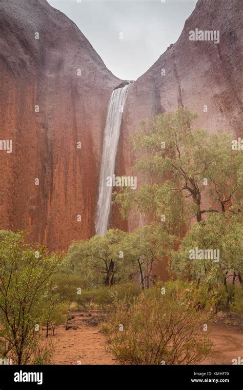 Ayers Rock In The Rain Waterfalls On Uluru During A Rare Rainstorm In