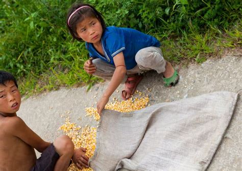 Opinion Hunger In North Korea Is Devastating And Its Our Fault