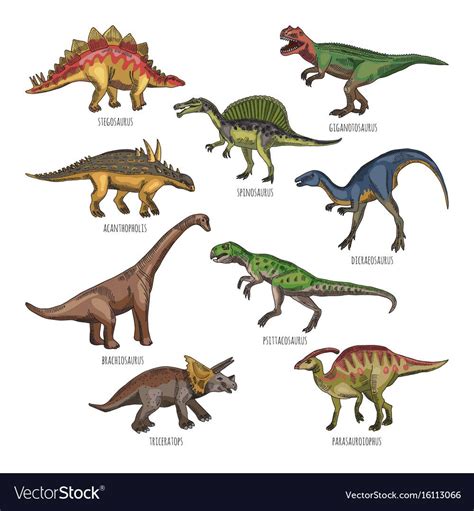 Colored Of Different Dinosaurs Types Vector Image On Vectorstock