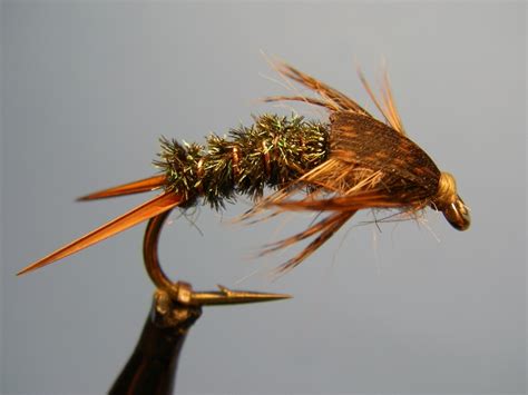Twenty Pounder Stonefly Nymph Current Works Guide Service