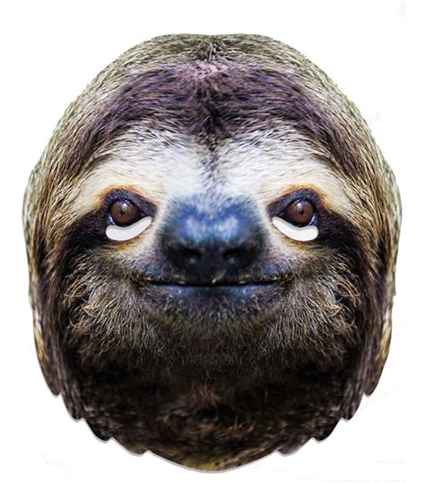 Sloth Animal Single 2d Card Party Face Mask