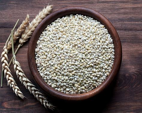Organic Pearl Barley Buy In Bulk From Food To Live