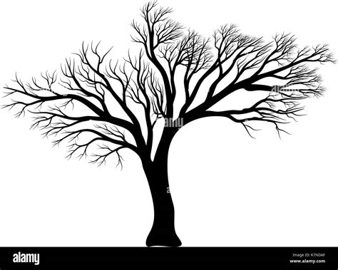 Bare Tree Silhouette Vector Symbol Icon Design Beautiful Illustration