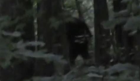 Georgia Bigfoot Chase Video