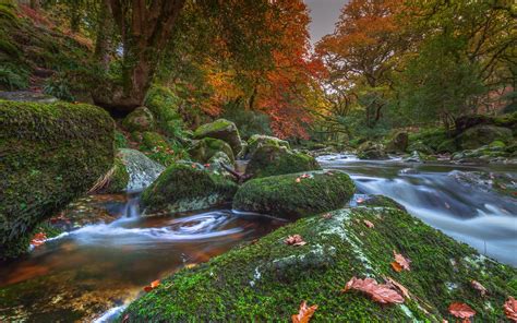Dartmoor National Park Devon England Wallpaper Nature And Landscape