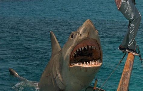 That Was A Franchise Jaws Bloody Disgusting