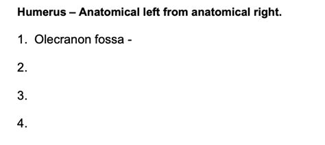 Solved Lab 6 Exercise 6 2 1 Using One Of The Full Skeletons