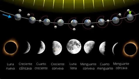 Fases De La Luna Cuáles Son Y Qué Son Los Diferentes Tipos Calendarr
