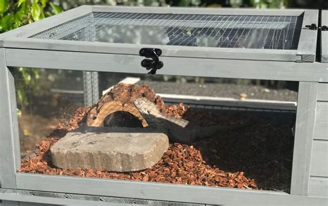 Upgraded Wood Tortoise Habitat Enclosure Coziwow