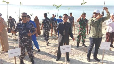 TNI AL Tanam Mangrove Demi Kesejatraan Warga Kota Tual Media Tual News