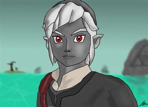 Dark Link Skyward Sword Style By Dreed 06 On Deviantart