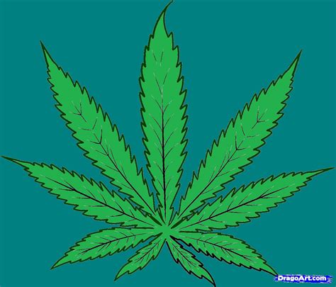 How To Draw Cannabis Cannabis Leaf Step 4a By Bigkrocks On Deviantart