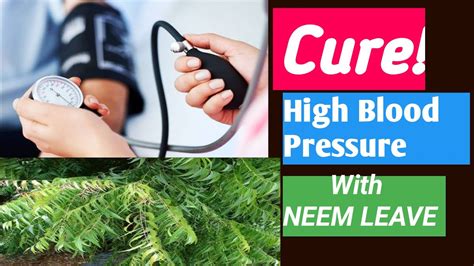 Neem Leaves How To Curemanage High Blood Pressure With Neem Leaf