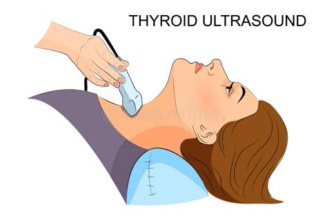Ultrasound Diagnostics Of Thyroid Stock Vector Illustration Of Clinic