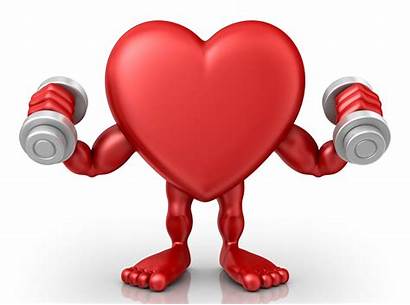 Exercise Fitness Heart Misconceptions Common Weight Muscle