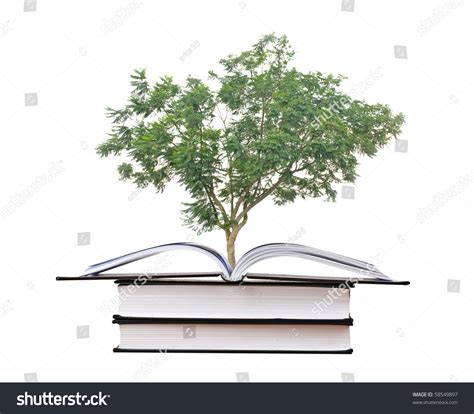 Tree Growing From A Book Stock Photo 58549897 Shutterstock