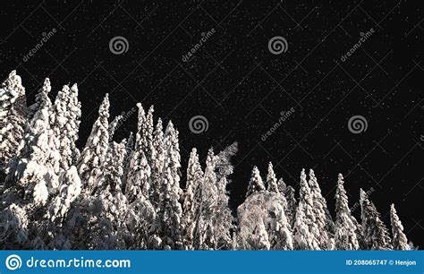 Forest In Heavy White Snow On A Cold Winters Night With Clear Starry