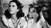 Lassie Come Home (1943)