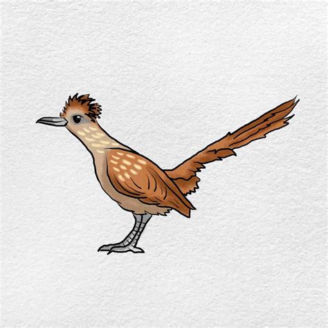 How To Draw A Roadrunner Helloartsy