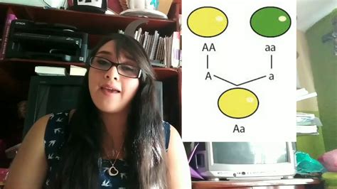 Leyes De Mendel Youtube