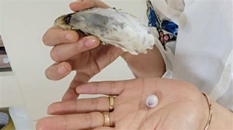 A Large Pearl Found While Eating Oysters May It Be A Sign Of Good Luck Teller Report