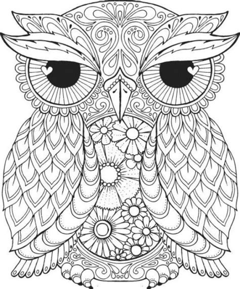 Coloring page with pelican in hibiskus flowers, zentangle illust. Coloring Page Owl HD | Owl coloring pages, Mandala ...