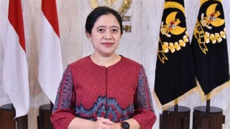 Harta Kekayaan Puan Maharani Ketua DPR RI Yang Menjadi Sorotan Sejak