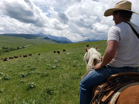 2019 06 17 131722 Sky Horse Ranch Montana Sky Horse Ranch Montana