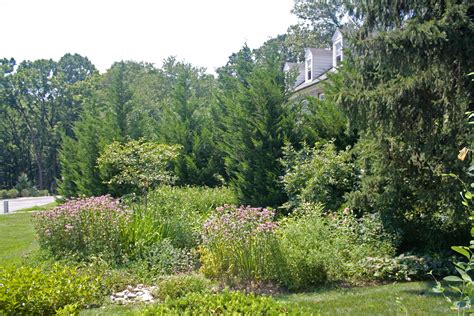 How To Design And Build A Rain Garden Greenweaver Landscapes