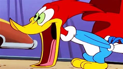 Woody Woodpecker Show Carney Con Full Episode Youtube