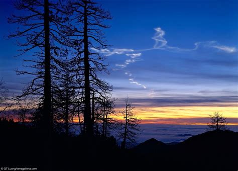 Beautiful Sunset Pictures Sequoia National Park Sunset