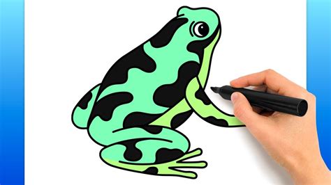 How To Draw A Poison Dart Frog (Easy Drawing Tutorial) - YouTube