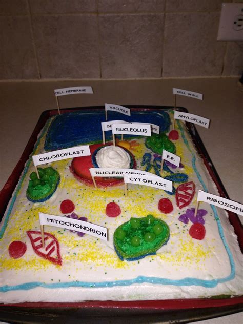 7th Grade Plant Cell Cake 3d Animal Cell Model For A Step By Step