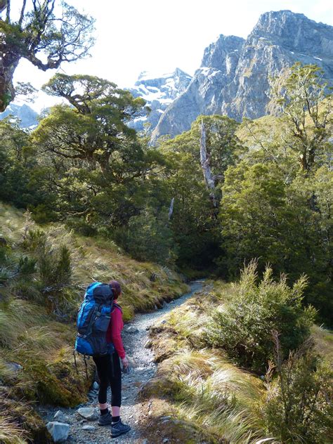 The Routeburn Track New Zealand This Is Regarding As The Best Of The